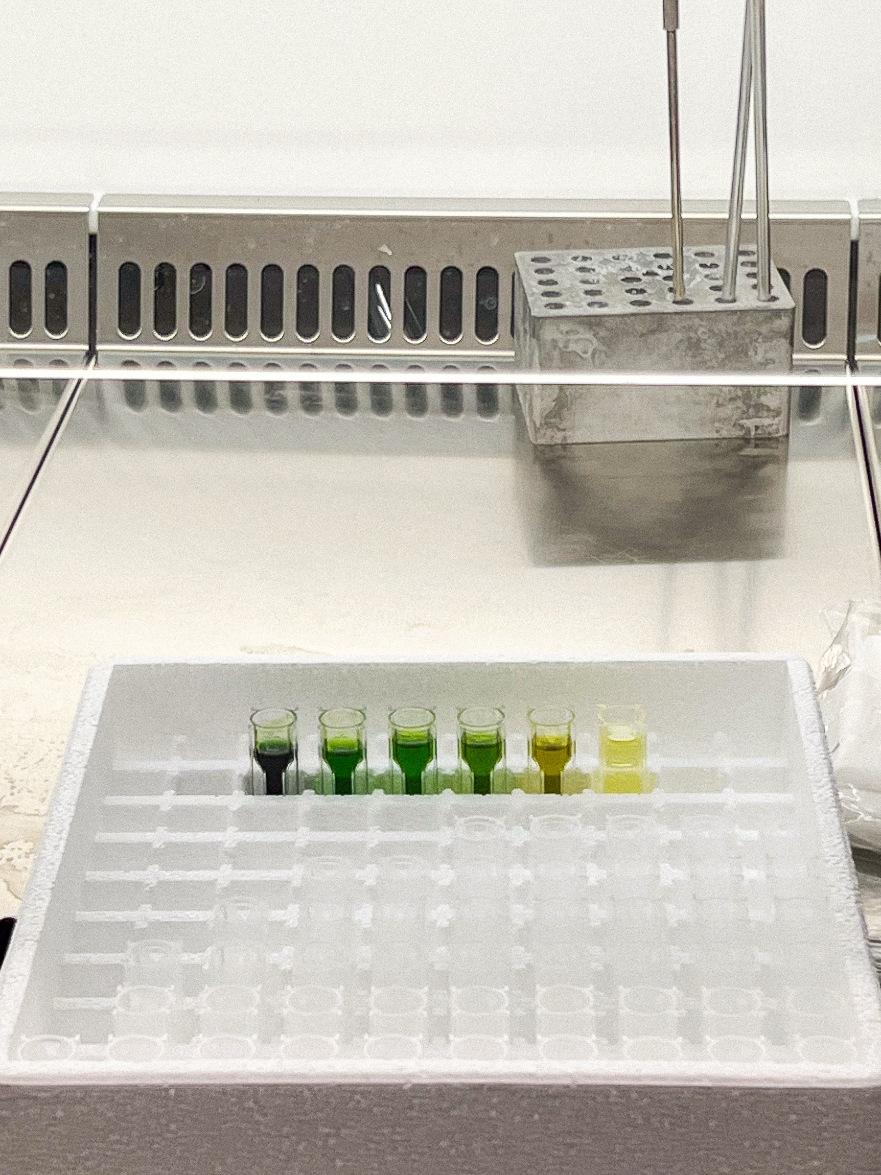 Algae