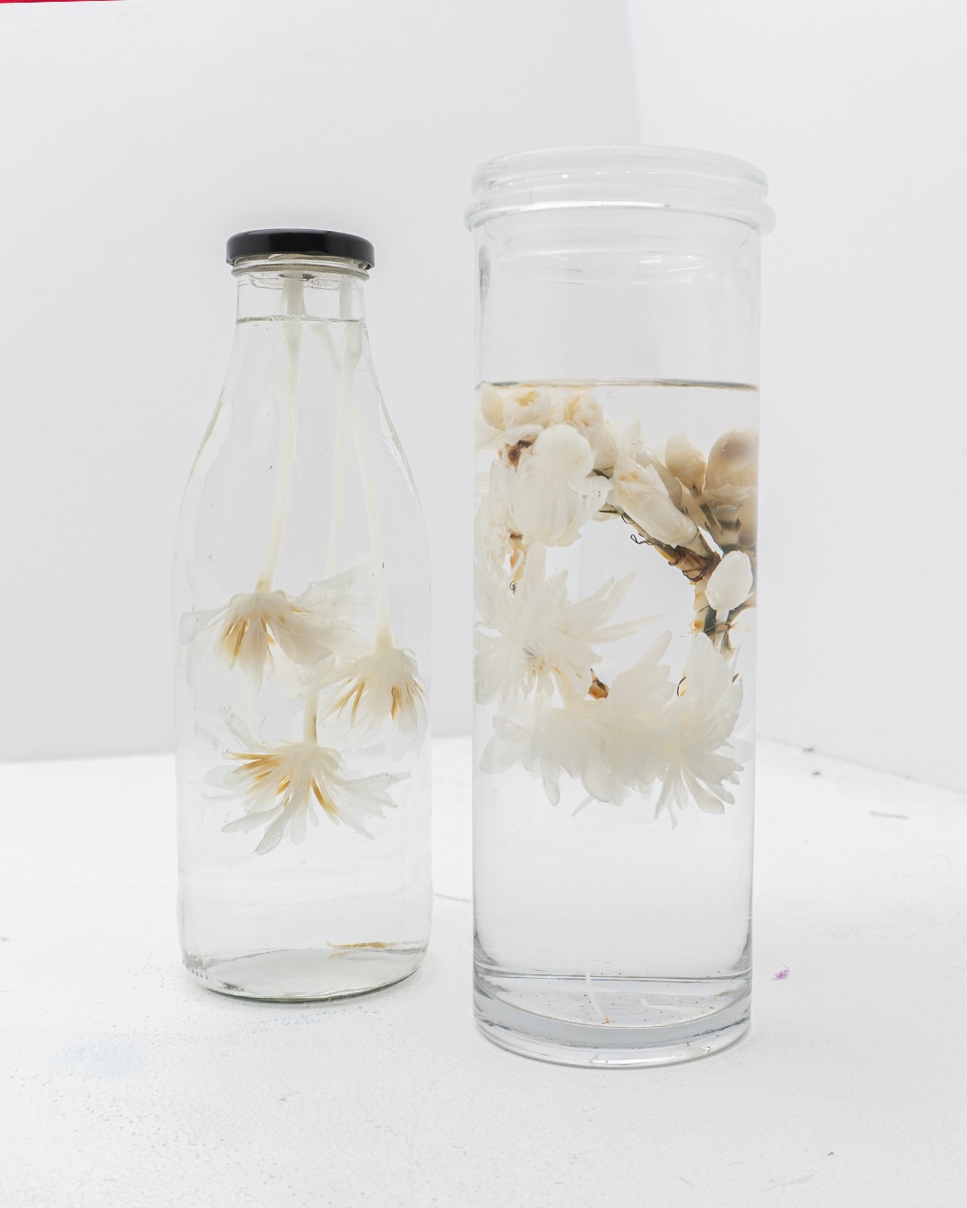 Decellularisation — image 2
