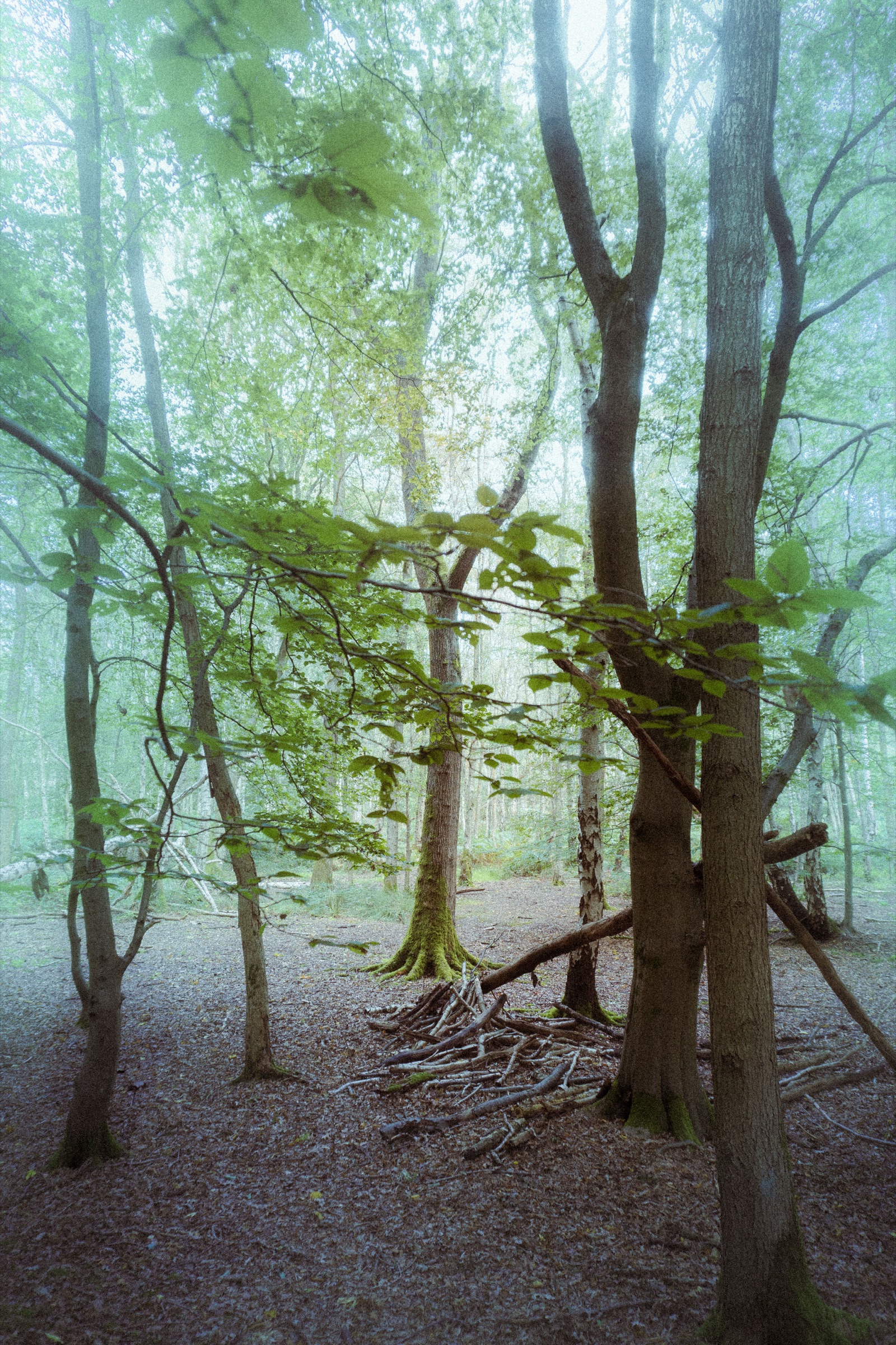Epping — image 2